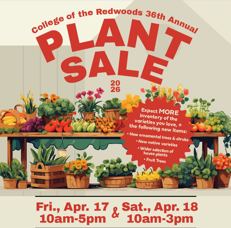 various plants, veggies, and flowers on a tabletop